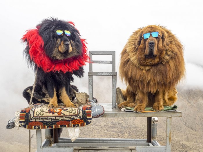 Fever for Photography in China